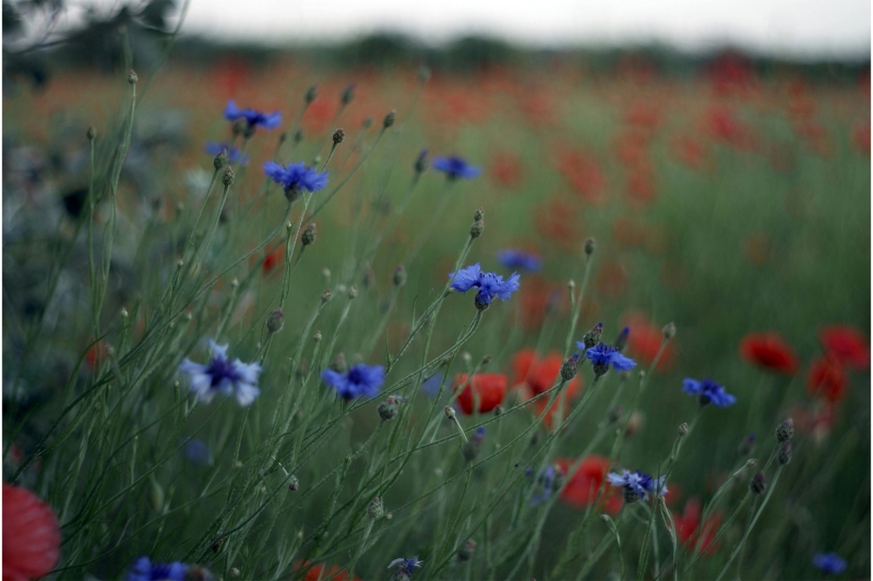 Kamper na długi weekend: 5 sprawdzonych tras startujących z Wrocławia